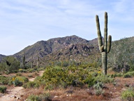 White Tank Mountain Regional Park photo thumbnail