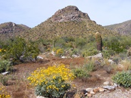 White Tank Mountain Regional Park photo thumbnail