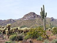 White Tank Mountain Regional Park photo thumbnail