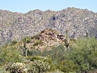 White Tank Mountain Regional Park photo thumbnail