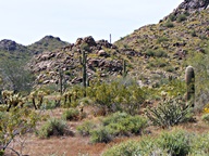 White Tank Mountain Regional Park photo thumbnail