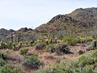 White Tank Mountain Regional Park photo thumbnail