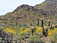White Tank Mountain Regional Park photo thumbnail