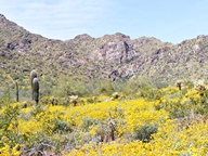 White Tank Mountain Regional Park photo thumbnail