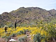 White Tank Mountain Regional Park photo thumbnail