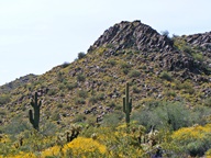 White Tank Mountain Regional Park photo thumbnail