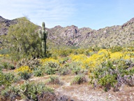 White Tank Mountain Regional Park photo thumbnail