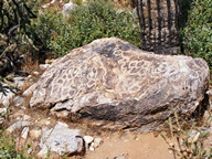White Tank Mountain Regional Park photo thumbnail