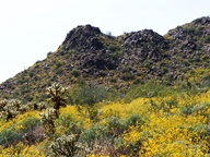 White Tank Mountain Regional Park photo thumbnail