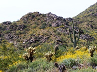 White Tank Mountain Regional Park photo thumbnail
