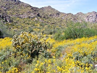 White Tank Mountain Regional Park photo thumbnail