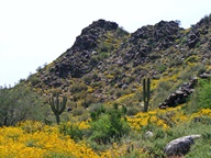 White Tank Mountain Regional Park photo thumbnail