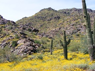 White Tank Mountain Regional Park photo thumbnail