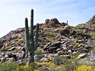 White Tank Mountain Regional Park photo thumbnail