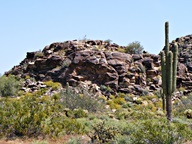 White Tank Mountain Regional Park photo thumbnail