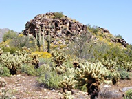 White Tank Mountain Regional Park photo thumbnail