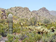 White Tank Mountain Regional Park photo thumbnail
