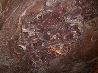 Wind Cave National Park photo thumbnail