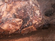 Wind Cave National Park photo thumbnail