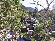 Wind River Mountains Wyoming photo thumbnail