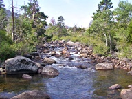 Wind River Mountains Wyoming photo thumbnail