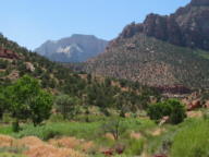 Zion National Park