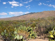 Saguaro National Park Rincon Mountain Division photo thumbnail