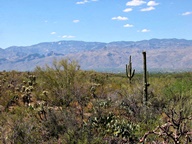 Saguaro National Park Rincon Mountain Division photo thumbnail