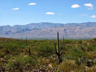 Saguaro National Park Rincon Mountain Division photo thumbnail