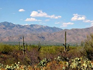 Saguaro National Park Rincon Mountain Division photo thumbnail