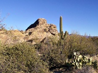 Saguaro National Park Rincon Mountain Division photo thumbnail