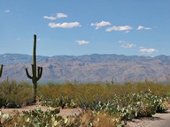 Saguaro National Park Rincon Mountain Division photo thumbnail