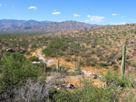 Saguaro National Park Rincon Mountain Division photo thumbnail