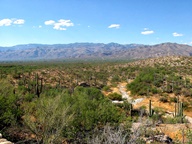 Saguaro National Park Rincon Mountain Division photo thumbnail