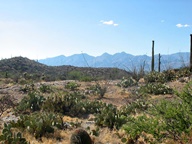 Saguaro National Park Rincon Mountain Division photo thumbnail