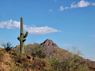 Saguaro National Park Rincon Mountain Division photo thumbnail