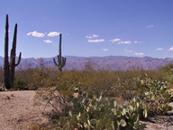 Saguaro National Park Rincon Mountain Division photo thumbnail