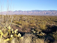 Saguaro National Park Rincon Mountain Division photo thumbnail
